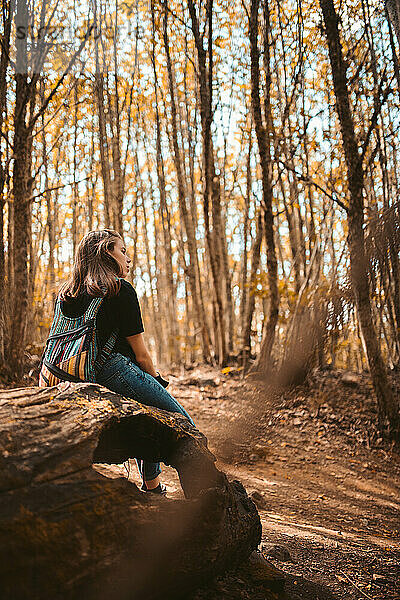 Alternative Frau  die sich auf einem Baum ausruht und den schönen Wald betrachtet