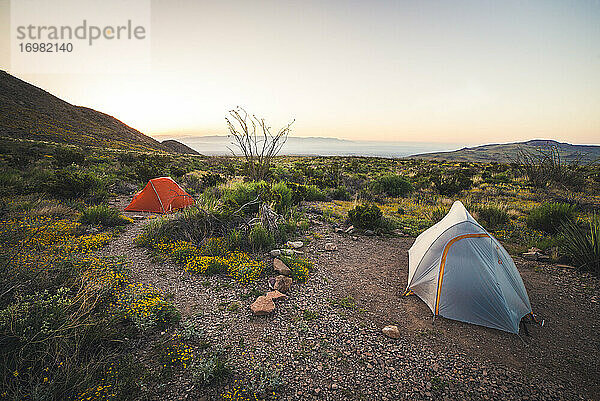 Zwei Zelte in der Wüste bei Sonnenaufgang im Big Bend National Park