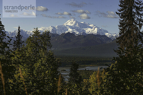 Denali an einem bewölkten Tag  eingerahmt von Bäumen