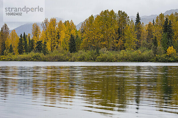 Landschaftlicher Blick auf den Wald am Tern Lake gegen den bewölkten Himmel  Kenai  Alaska  USA