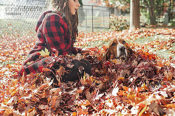 Teenager-Mädchen sitzt in Laubhaufen mit Basset Hound Hund auf Herbst Tag im Hof