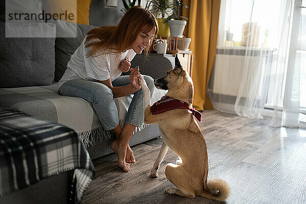 Barfüßige Frau spielt mit Hund im Wohnzimmer