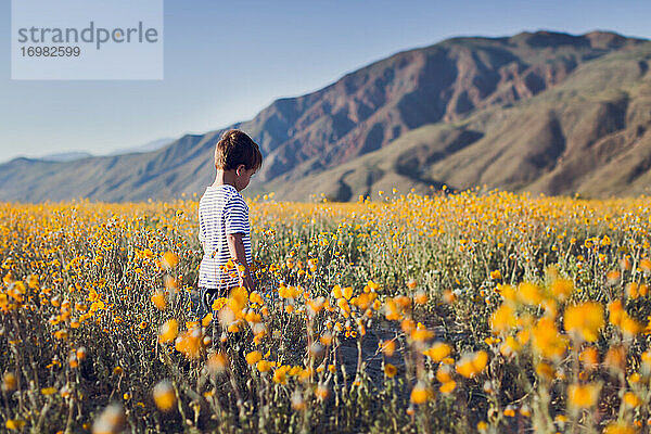 Kleiner Junge  der im Frühling über ein Wildblumenfeld in der Wüste läuft.