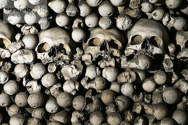 Schädel im Beinhaus von Sedlec (AKA Knochenkirche)  UNESCO  Kutna Hora  Bezirk Kutna Hora  Mittelböhmische Region  Tschechische Republik