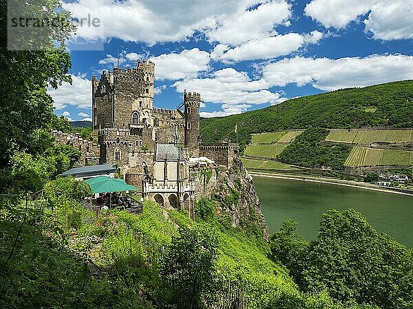 Burg Rheinstein am Rhein  Welterbe Oberes Mittelrheintal  Trechtingshausen  Rheinland-Pfalz  Deutschland  Europa