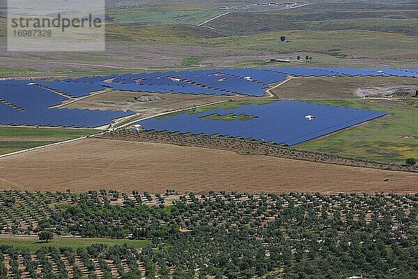 Kulturlandschaft mit Olivenhainen und Photovoltaikanlage  La Serena  Extremadura  Spanien  Europa