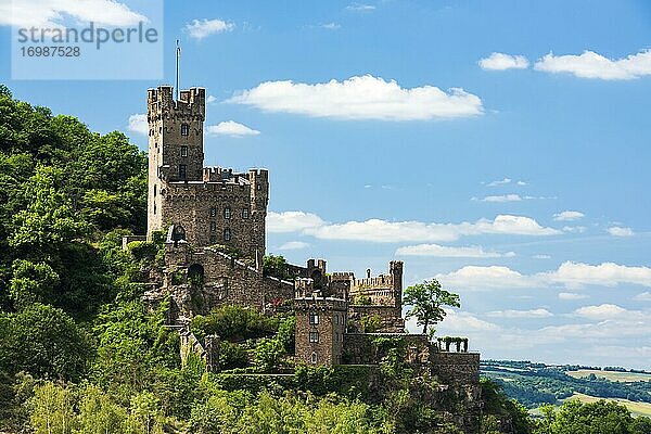 Burg Sooneck am Rhein  Welterbe Oberes Mittelrheintal  Niederheimbach  Rheinland-Pfalz  Deutschland  Europa