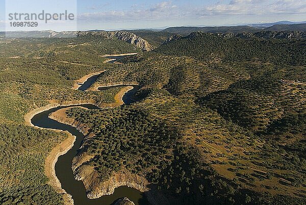Dehesa  Steineichenwald mit Fluss  Luftaufnahme  Monfragüe-Nationalpark  Extremadura  Spanien  Europa