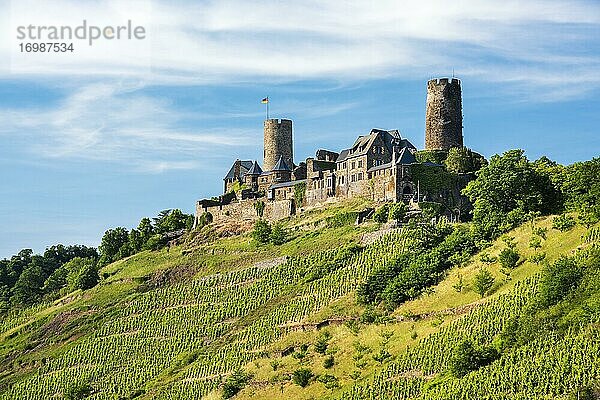 Burg Thurant über Weinbergen im Moseltal  Alken  Untermosel  Rheinland-Pfalz  Deutschland  Europa