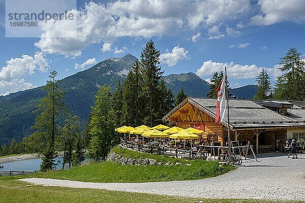 Gamsalm  bei Ehrwald  Tirol  Österreich  Europa