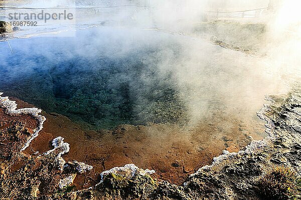 Heiße Quelle  Geothermalgebiet Haukadalur  Golden Circle  Südisland  Island  Europa