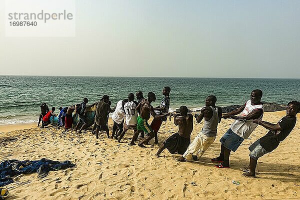 Einheimische Fischer  die ihre Netze an einem Strand in Robertsport  Liberia  ziehen  Afrika