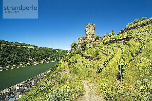 Burg Gutenfels am Rhein  Kaub  Rheinland-Pfalz  Deutschland  Europa