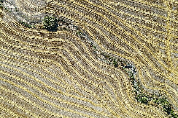 Abstrakte Muster im Maisfeld nach der Weizenernte  trockener Bach  Luftbild  Drohnenaufnahme  Provinz Córdoba  Andalusien  Spanien  Europa