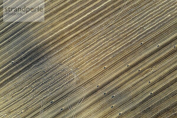 Strohballen und abstrakte Muster im Maisfeld nach der Weizenernte  hervorstechend die Traktorradspuren  Luftaufnahme  Drohnenaufnahme  Provinz Córdoba  Andalusien  Spanien  Europa