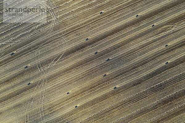 Strohballen und abstrakte Muster im Maisfeld nach der Weizenernte  hervorstechend die Traktorradspuren  Luftaufnahme  Drohnenaufnahme  Provinz Córdoba  Andalusien  Spanien  Europa