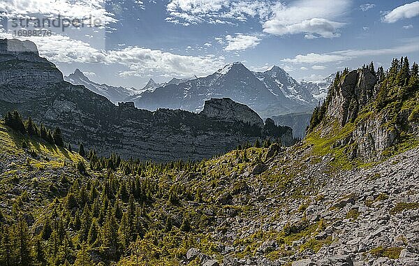 Alpenlandschaft  Eiger Nordwand und Mönch  Berggipfel  Jungfrauregion  Grindelwald  Bern  Schweiz  Europa