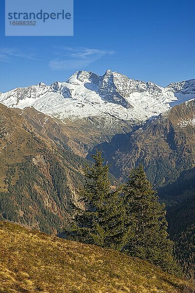Herbstliche Gebirgslandschaft am Padauner Kogl  dahinter der Olperer und der Fußstein  Padauner Kogl  Gries am Brenner  Tirol  Österreich  Europa