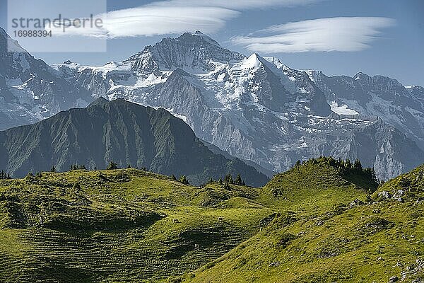 Blick von der Schynige Platte  hinten Berggipfel  Jungfrauregion  Grindelwald  Kanton Bern  Schweiz  Europa
