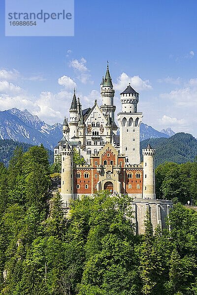 Schloss Neuschwanstein im Sommer  bei Schwangau  Ostallgäu  Allgäu  Schwaben  Bayern  Deutschland  Europa
