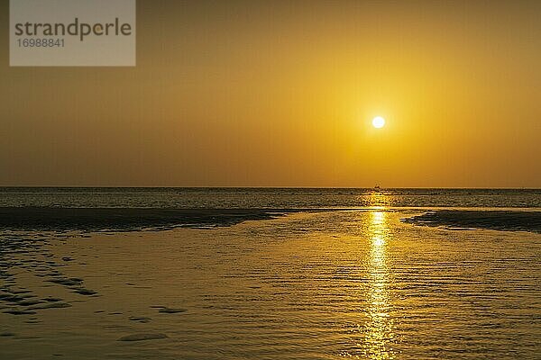 Watt im Abendlicht  Priel  Strand  Boden  Relief  Ebbe  Flut  Nationalpark Wattenmeer  Nordsee  Deutschland  Europa