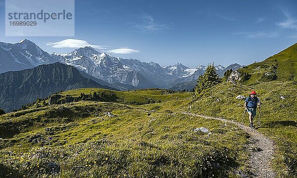 Wanderer an der Schynige Platte  Schneebedeckte Berggipfel  Eiger  Mönch  Jungfraujoch und Jungfrau  Jungfrauregion  Grindelwald  Kanton Bern  Schweiz  Europa