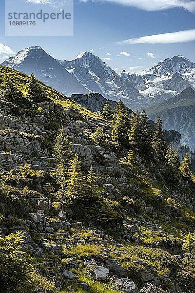 Alpenlandschaft  Eiger  Mönch und Jungfrau  Berggipfel  Jungfrauregion  Grindelwald  Kanton Bern  Schweiz  Europa