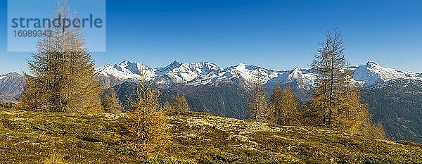 Herbstliche Lärchenwiesen  dahinter Olperer  Fußstein  Schrammacher  Sagwandspitze  Egger Mähder  Obernbergtal  Tirol  Österreich  Europa