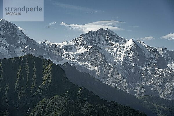 Schneebedeckte Berggipfel  Mönch  Jungfraujoch und Jungfrau  Gletscher Jungfraufirn  Jungfrauregion  Grindelwald  Kanton Bern  Schweiz  Europa