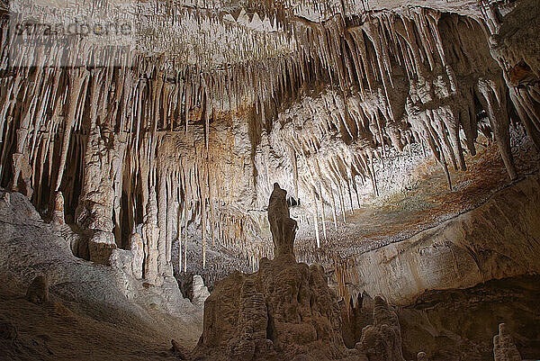 Kalksteinhöhleninneres mit vielen Stalaktiten und Stalagmiten  Drach-Höhlen (Cuevas del Drach)  Porto Cristo  Mallorca  Balearen  Spanien  Mittelmeer  Europa