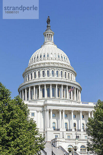USA  Washington DC  Kapitol der Vereinigten Staaten auf dem Capitol Hill