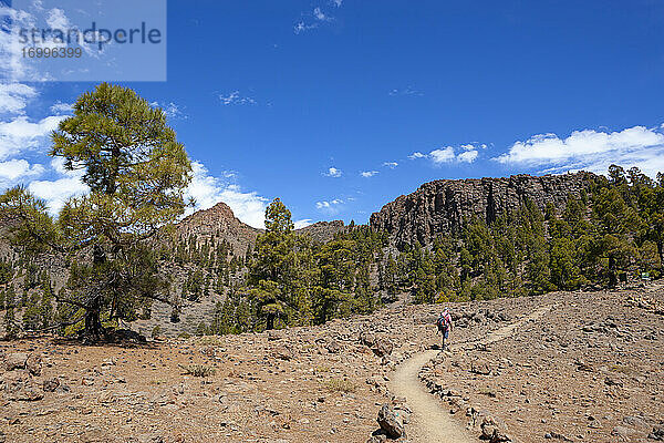 Älterer Mann beim Wandern auf dem Fußweg im Teide-Nationalpark  Teneriffa  Kanarische Inseln  Spanien