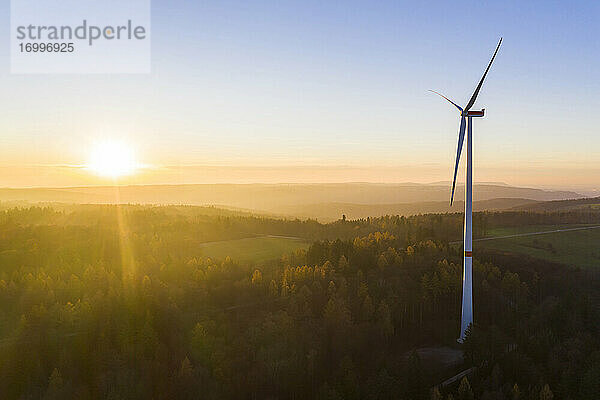 Die untergehende Sonne beleuchtet eine im Herbstwald stehende Windkraftanlage