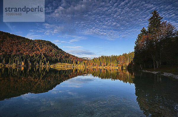 Malerischer Blick auf den Herbstwald  der sich im Walchensee spiegelt