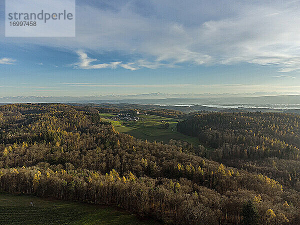 Luftaufnahme eines Herbstwaldes mit Dorf im Hintergrund