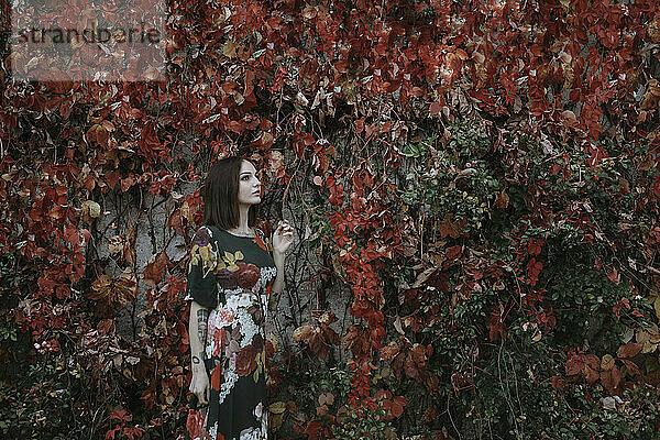 Nachdenkliche junge Frau  die im Herbst in einem Park an einer Efeuwand steht