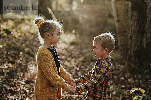 Junge und Mädchen schauen sich an  während sie im Wald stehen und sich an den Händen halten