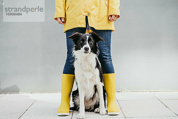 Frau mit gelbem Regenmantel und Hund im Herbst