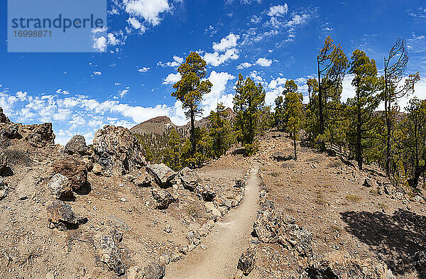 Wanderweg in Richtung Sombrero de Chasna  Teide-Nationalpark  Teneriffa  Kanarische Inseln  Spanien