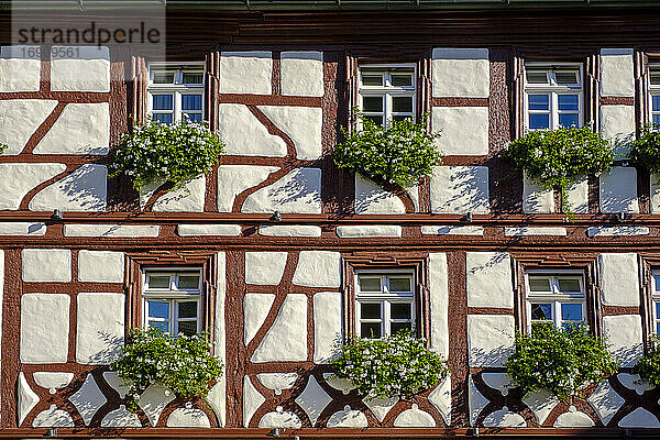Deutschland  Bayern  Volkach  Fachwerktuchhaus  Fenster mit Blumen
