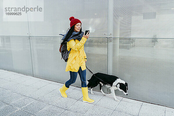 Frau  die ihr Smartphone benutzt  während sie mit ihrem Hund auf dem Fußweg an der Mauer spazieren geht  im Herbst
