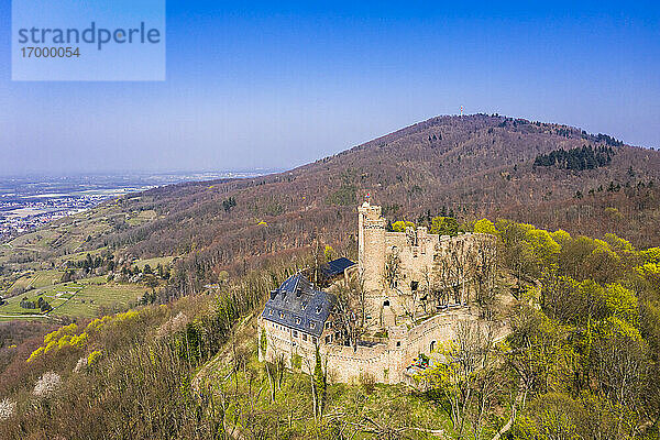 Deutschland  Hessen  Bensheim  Blick aus dem Hubschrauber auf Schloss Auerbach im Frühling