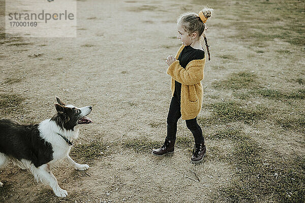 Mädchen hält Stock beim Spielen mit Hund auf Spielplatz