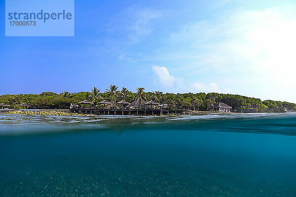 Malediven  Kaafu-Atoll  Palmen entlang der Küstenlinie der Insel Himmafushi