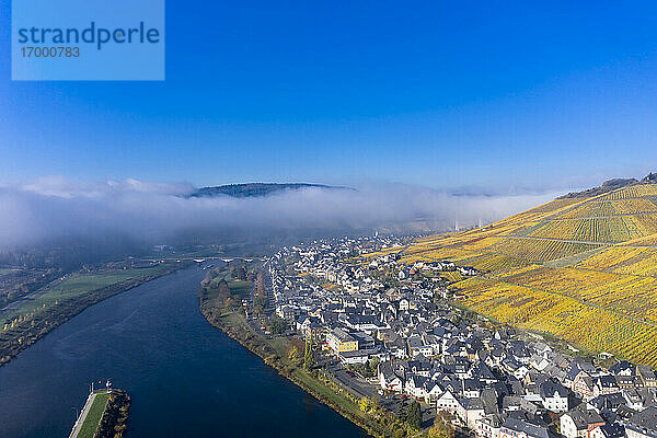 Deutschland  Rheinland-Pfalz  Zeltingen-Rachtig  Stadt und Weinberge an der Mosel im Herbst  Luftbild