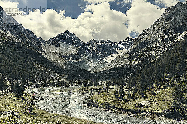 Malerischer Blick auf den Fluss  der im Frühling durch das Valmalenco-Tal fließt