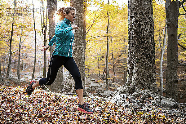 Sportler beim Laufen im Wald im Herbst