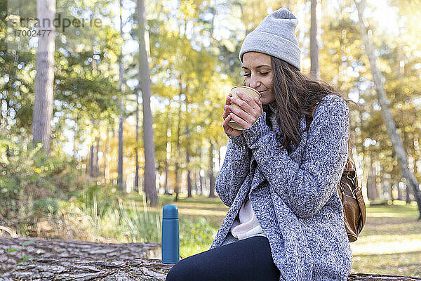 Wanderin riecht Tee  während sie im Wald von Cannock Chase sitzt