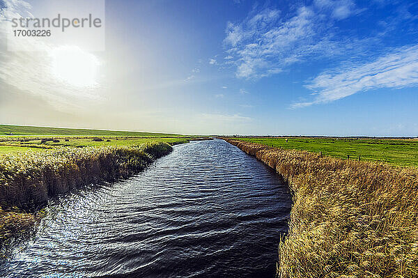 Kanal im grasbewachsenen Feld