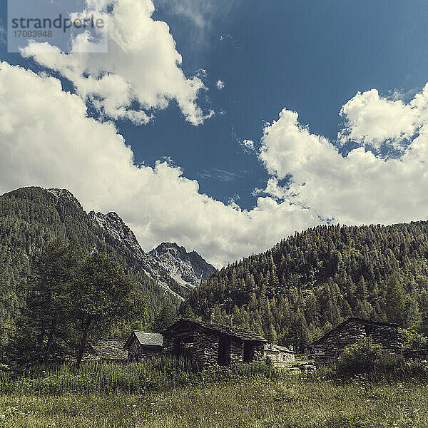 Steinhäuser im bewaldeten Valmalenco-Tal